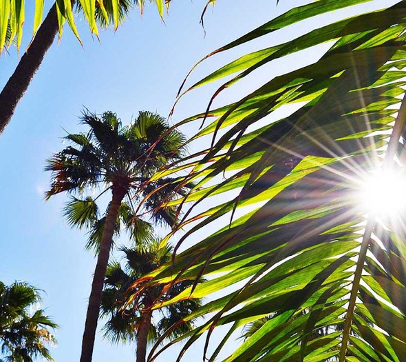 Unsere gärten Playa del Sol Wohnungen Maspalomas